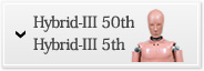 Hybrid-III50th Percentile Male Dummy