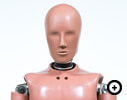 Hybrid-III50th Percentile Male Dummy