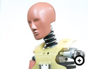 Hybrid-III50th Percentile Male Dummy