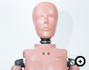 Hybrid-III5th Percentile Female Dummy